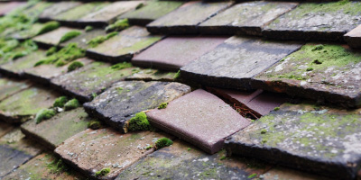Stanbridge roof repair costs